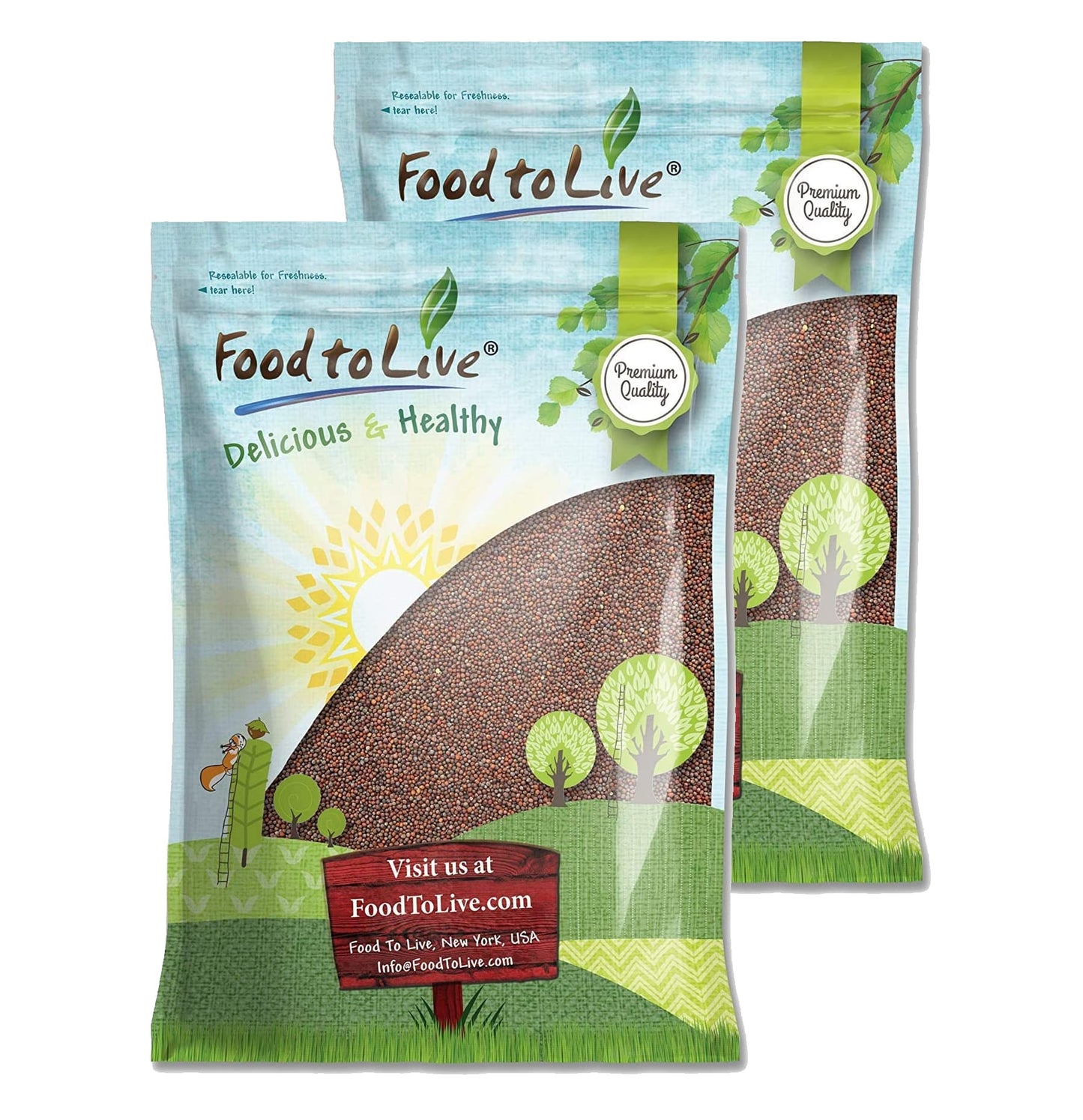 Broccoli Seeds for Sprouting - by Food To Live