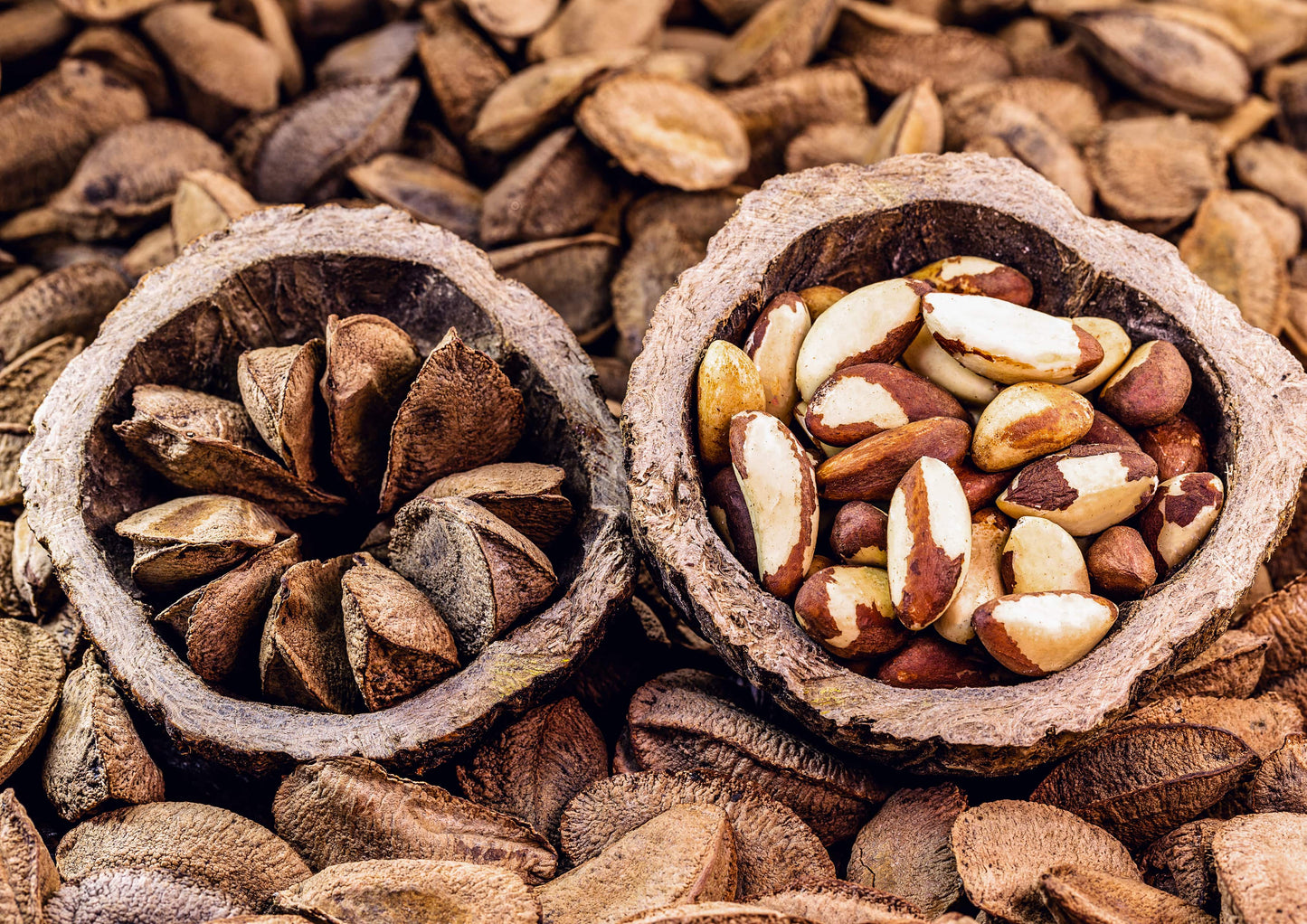 Dry Roasted Brazil Nuts with Himalayan Salt - by Food To Live