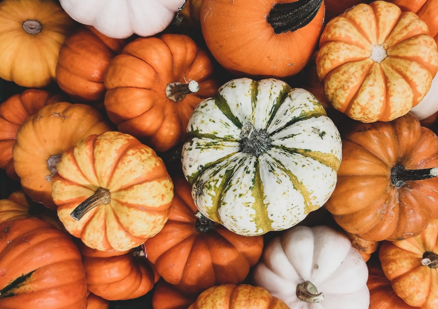 Organic Dry Roasted Pumpkin Seeds in Shell with Himalayan Salt - by Food To Live