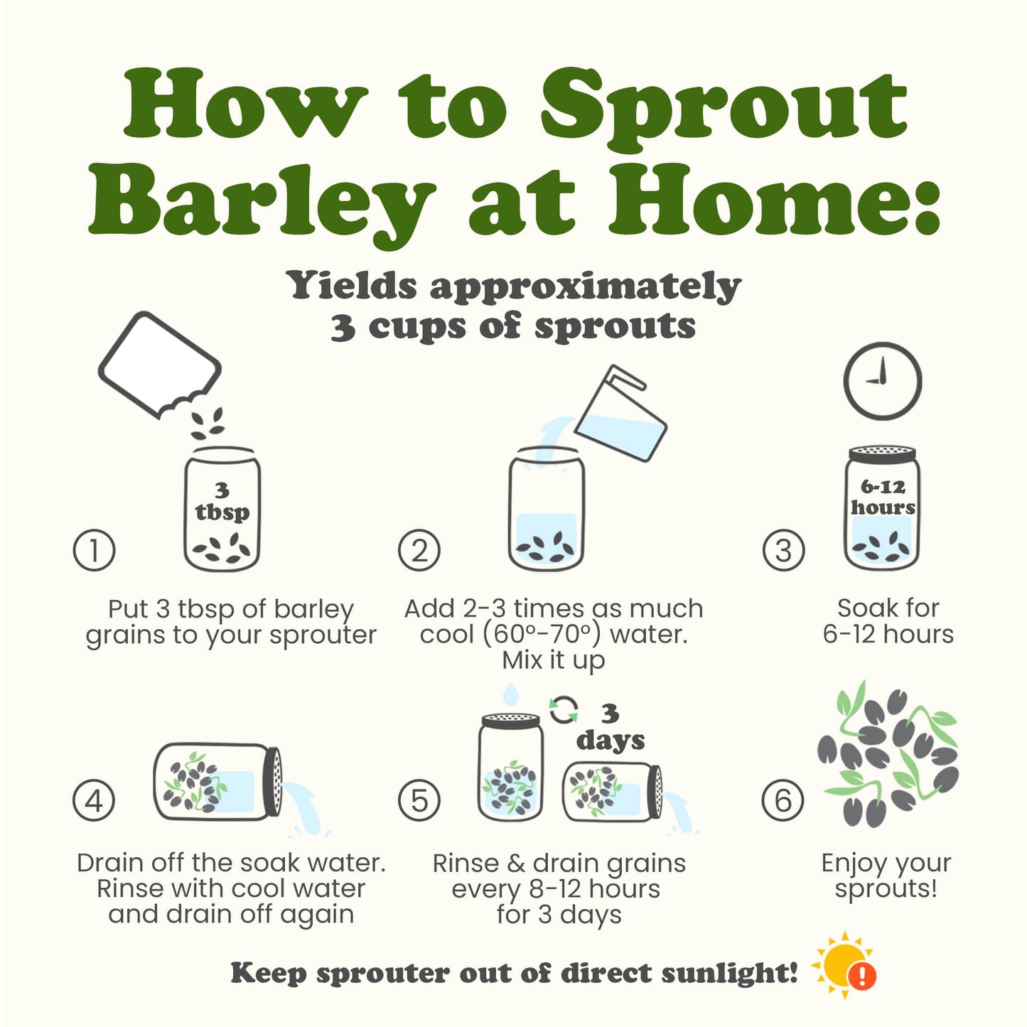 Organic Whole Unhulled Barley - by Food To Live