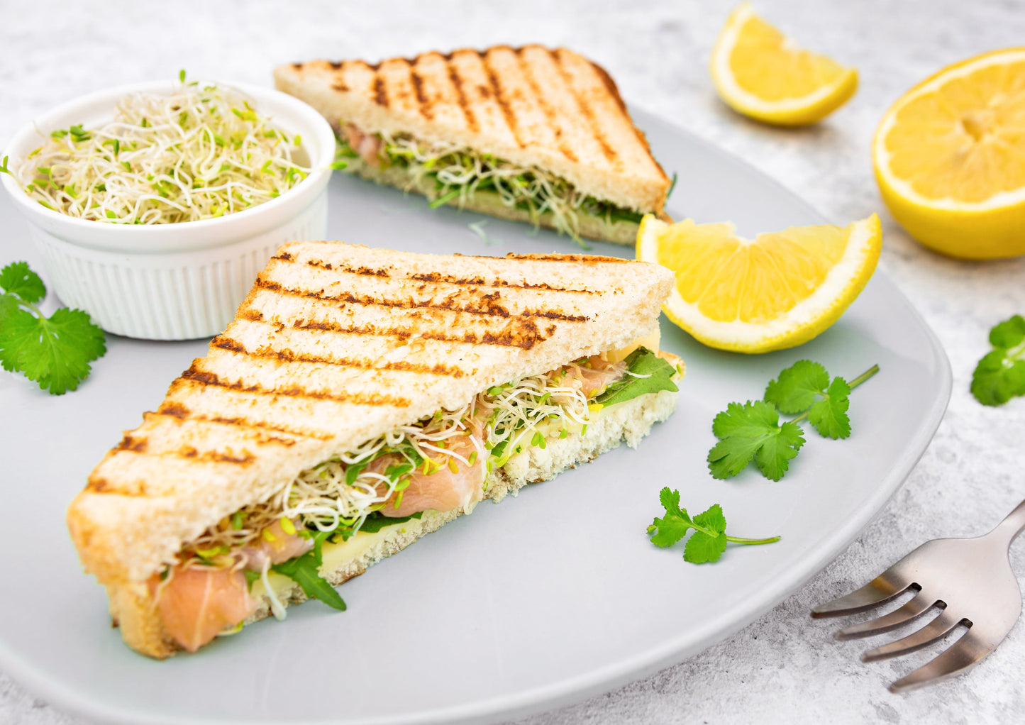 Alfalfa Seeds for Sprouting - by Food To Live