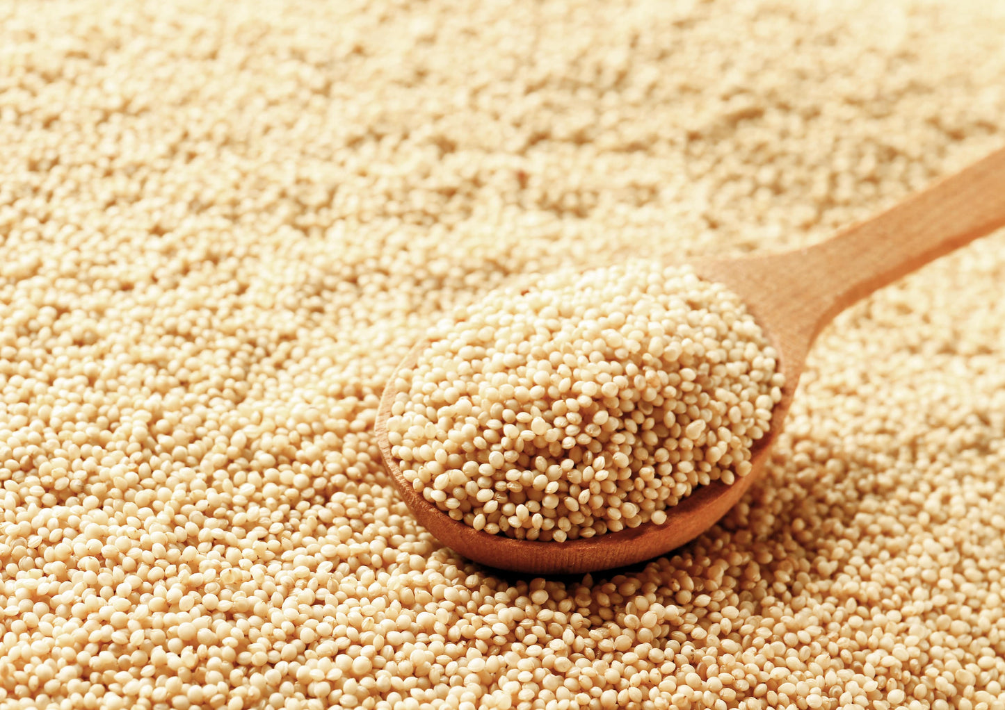 Amaranth Grain - by Food To Live