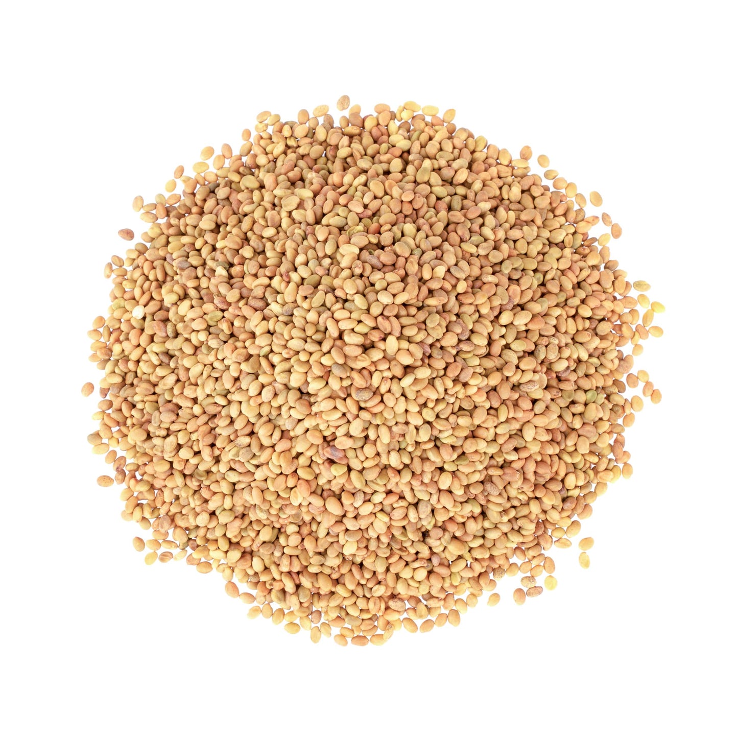 Clover Seeds for Sprouting - by Food To Live