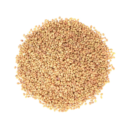 Clover Seeds for Sprouting - by Food To Live