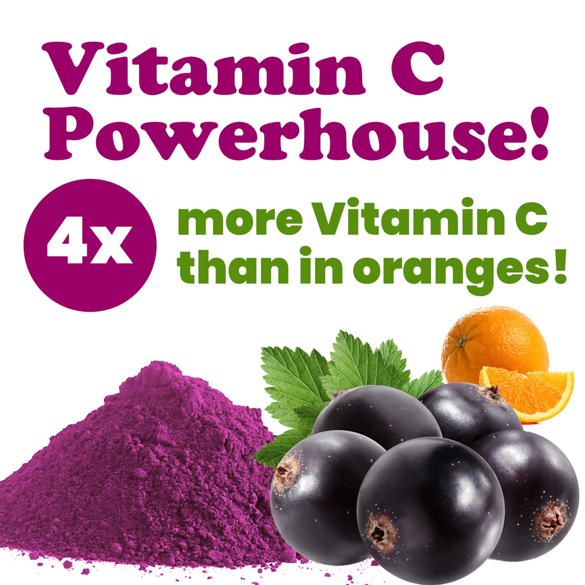 Currant Juice Powder — Kosher, Bulk - by Food to Live