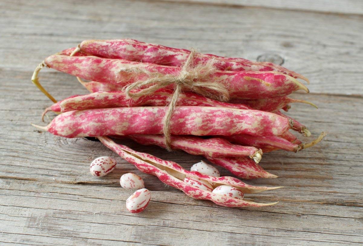 Organic Dried Cranberry Beans - by Food To Live