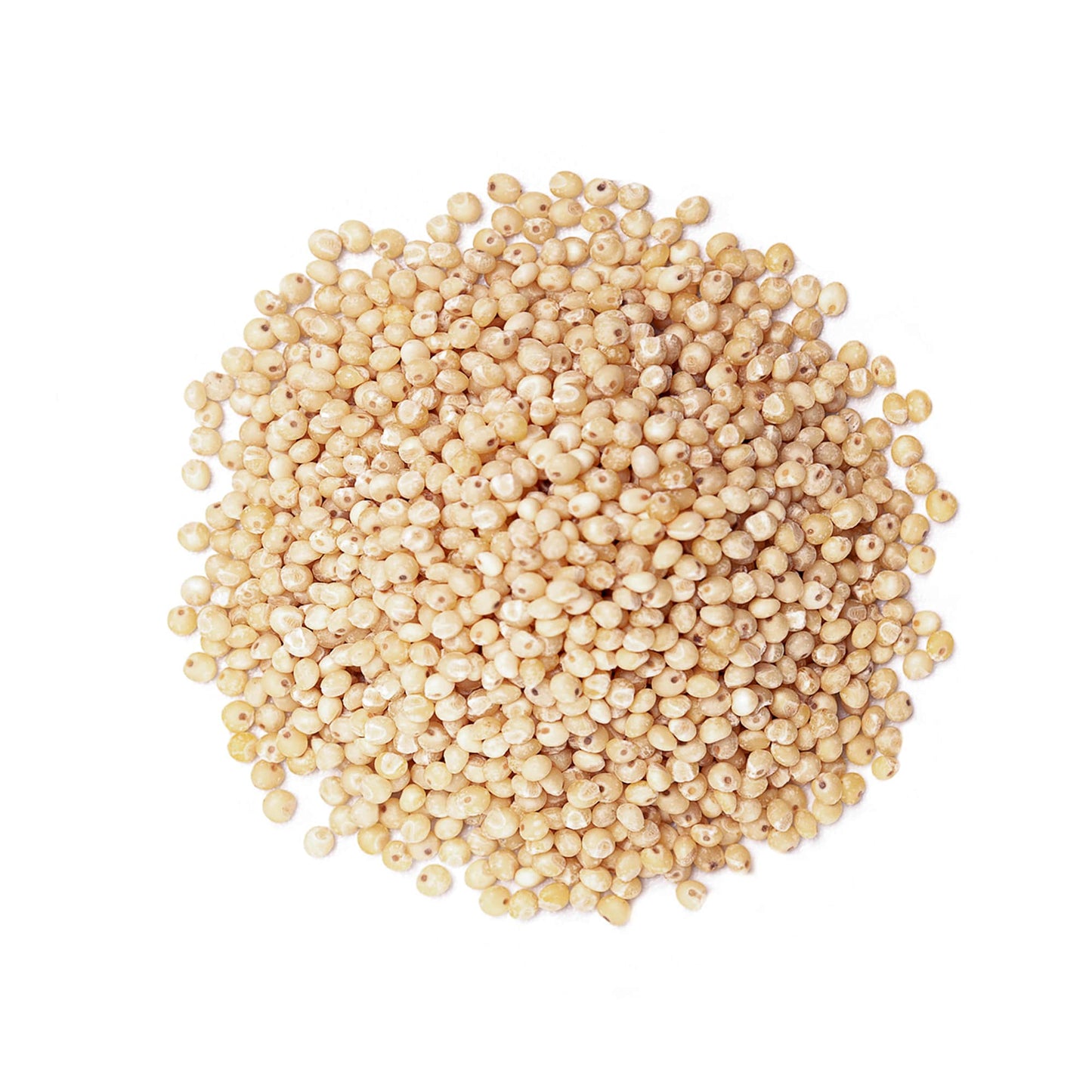 Organic Italian White Whole Grain Sorghum - by Food To Live