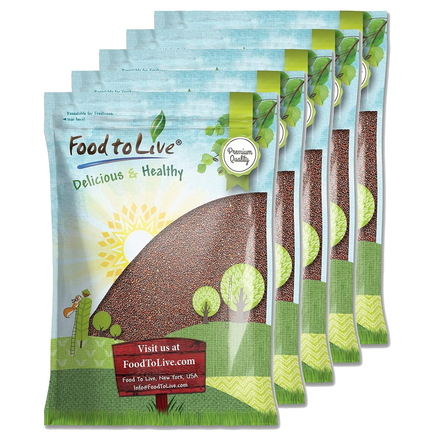 Broccoli Seeds for Sprouting - by Food To Live