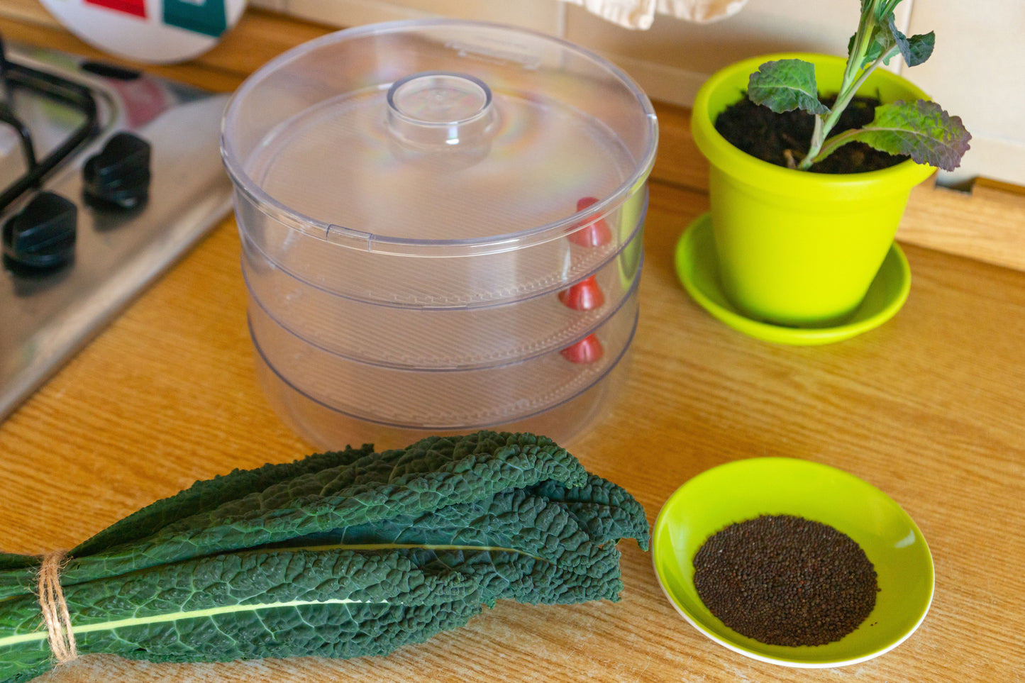 Kale Seeds for Sprouting - by Food To Live