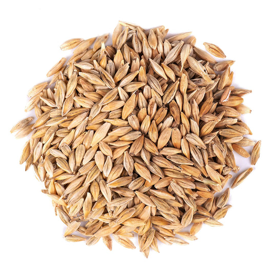 Organic Whole Unhulled Barley - by Food To Live