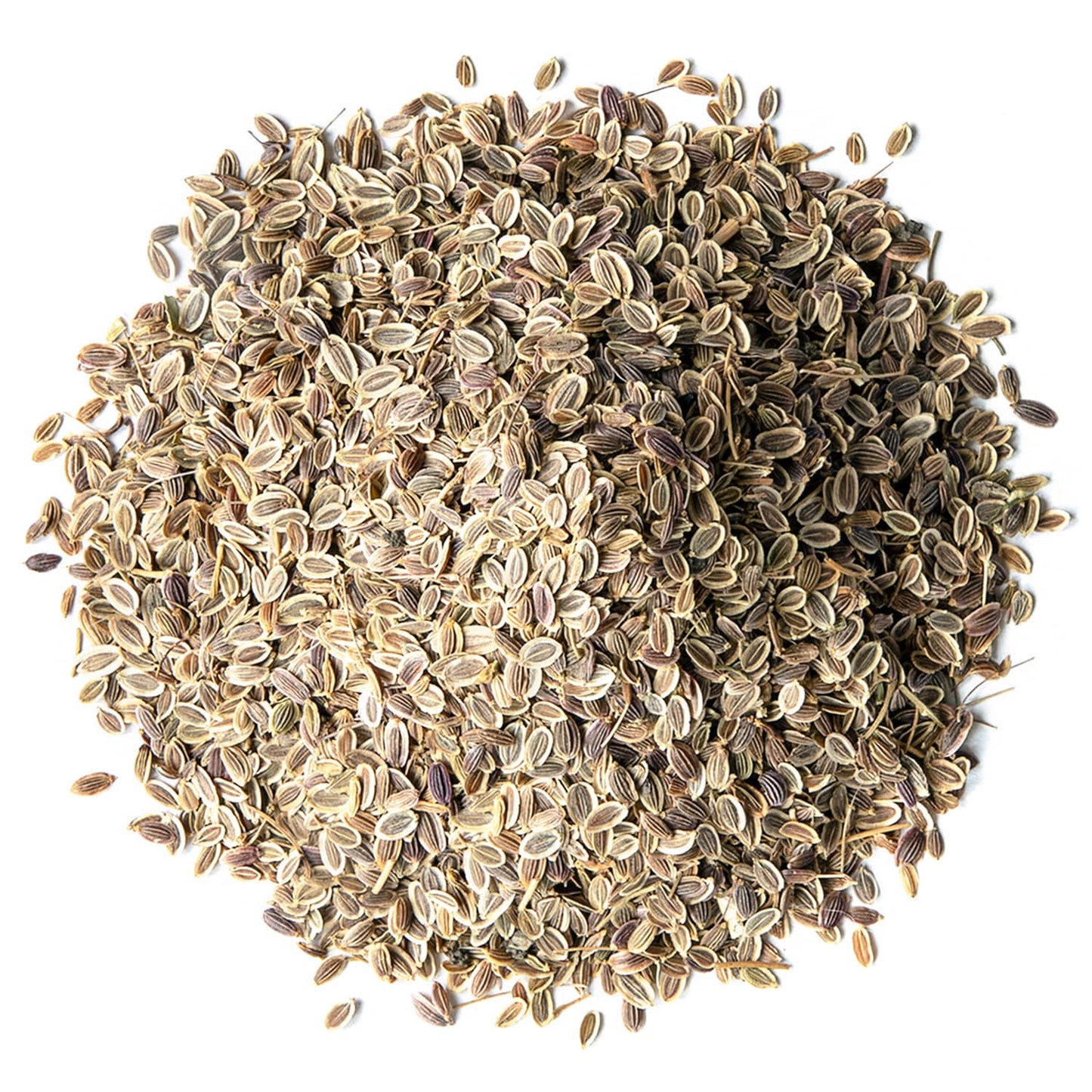 Organic Dill Seeds - by Food To Live