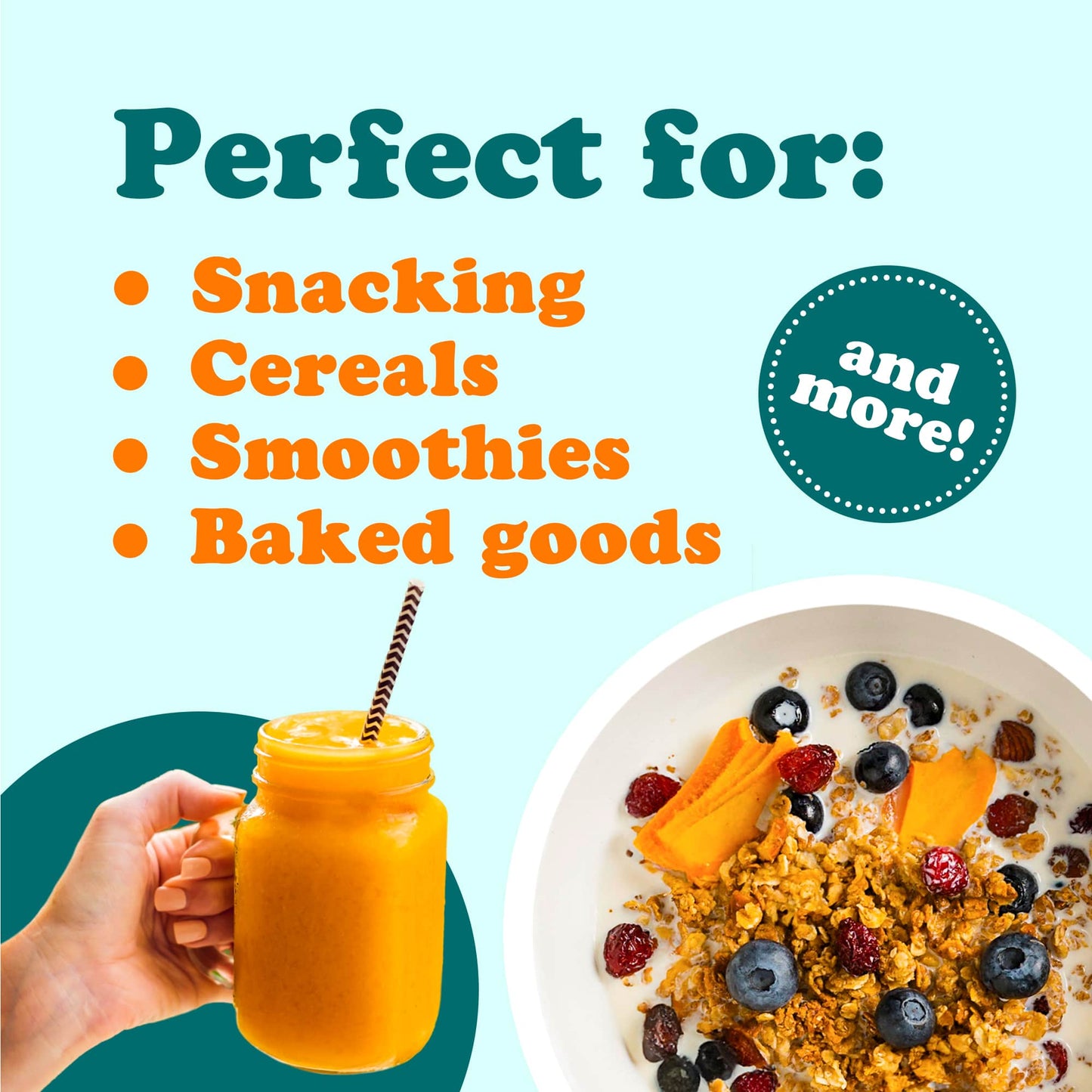 Organic Dried Mango Strips - by Food To Live