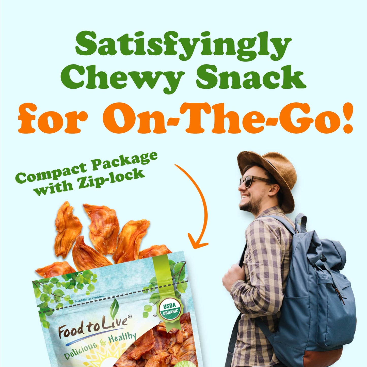 Organic Dried Jackfruit Slices - by Food To Live