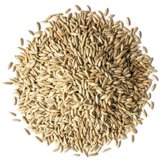 Organic Rye Berries - by Food To Live