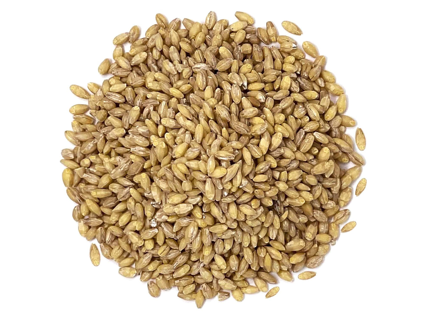 Organic Hulled Barley - by Food To Live