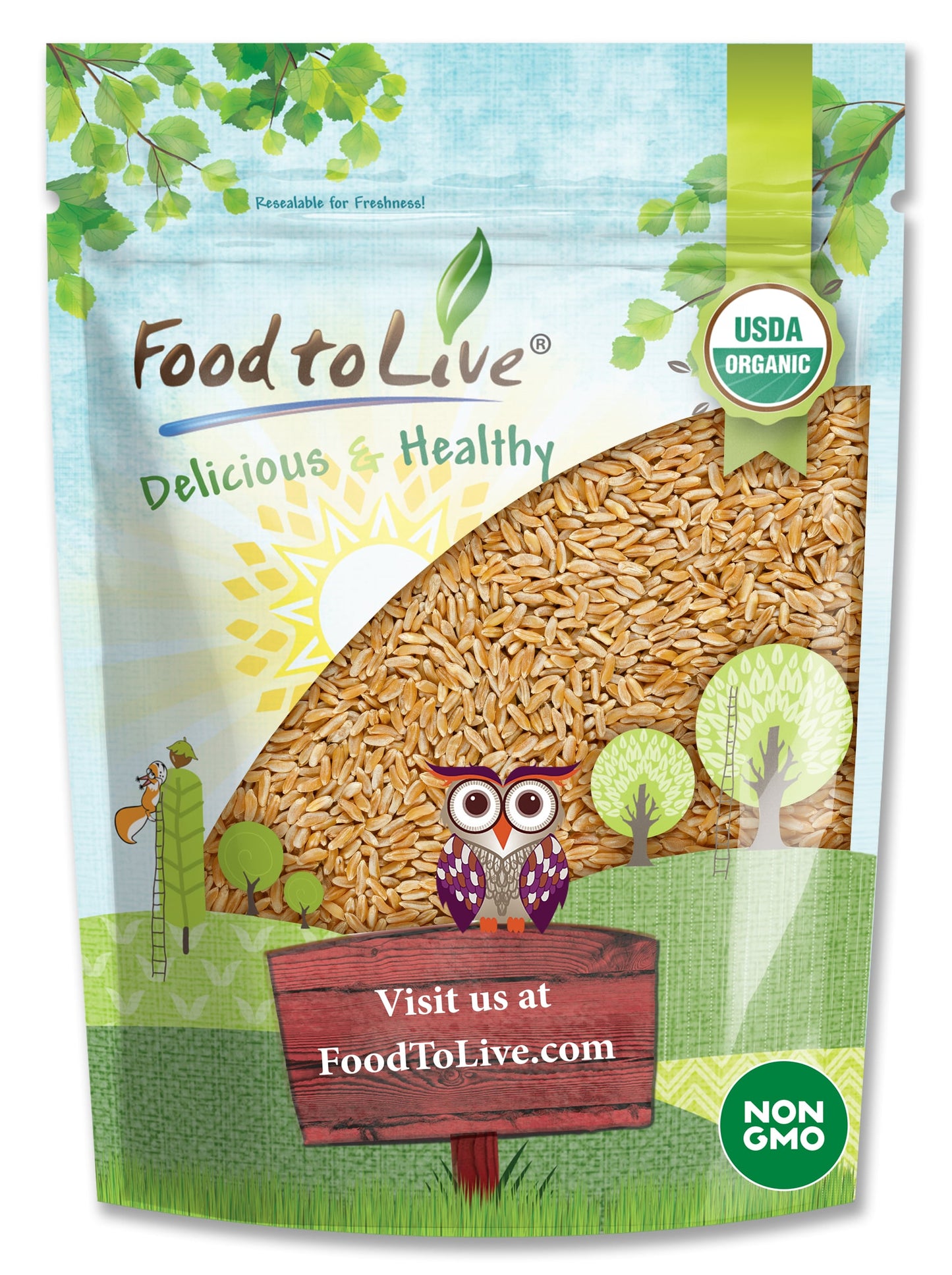 Organic KAMUT Khorasan Wheat Berries - by Food To Live