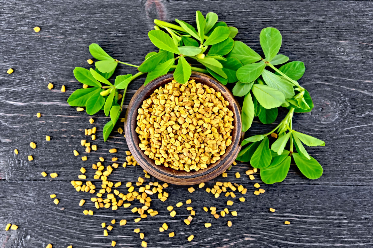 Organic Fenugreek Seeds - by Food To Live