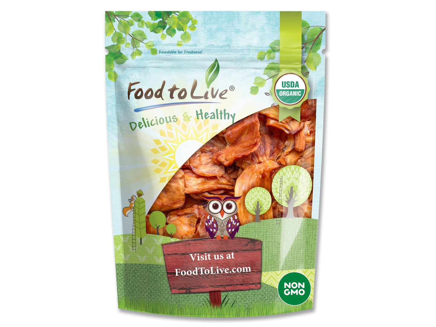 Organic Dried Jackfruit Slices - by Food To Live