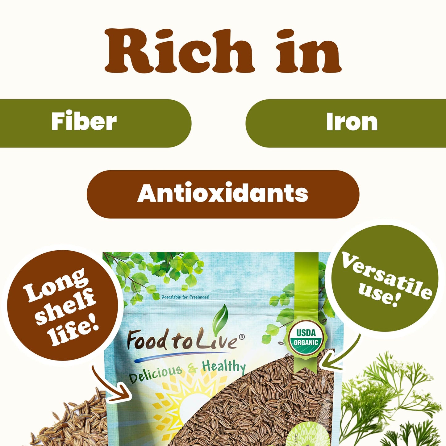 Organic Caraway Seeds - by Food To Live