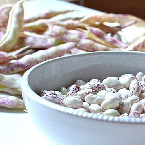 Organic Dried Cranberry Beans - by Food To Live