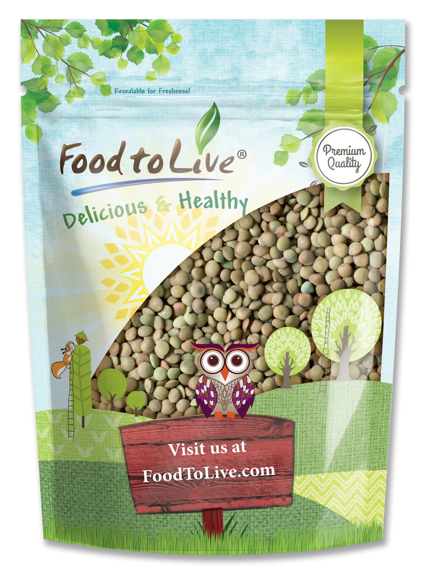 Green Lentil Whole — Non-GMO Verified, Kosher, Bulk - by Food to Live