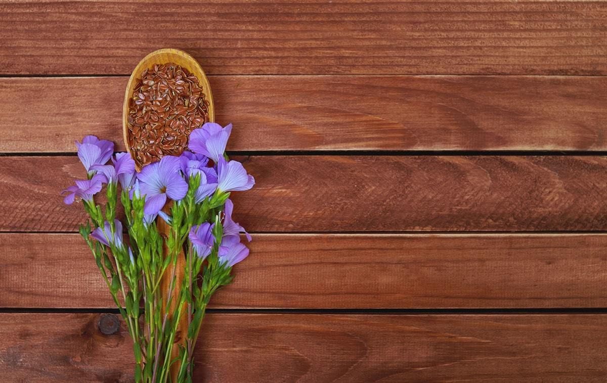 Organic Brown Flax Seeds - by Food To Live