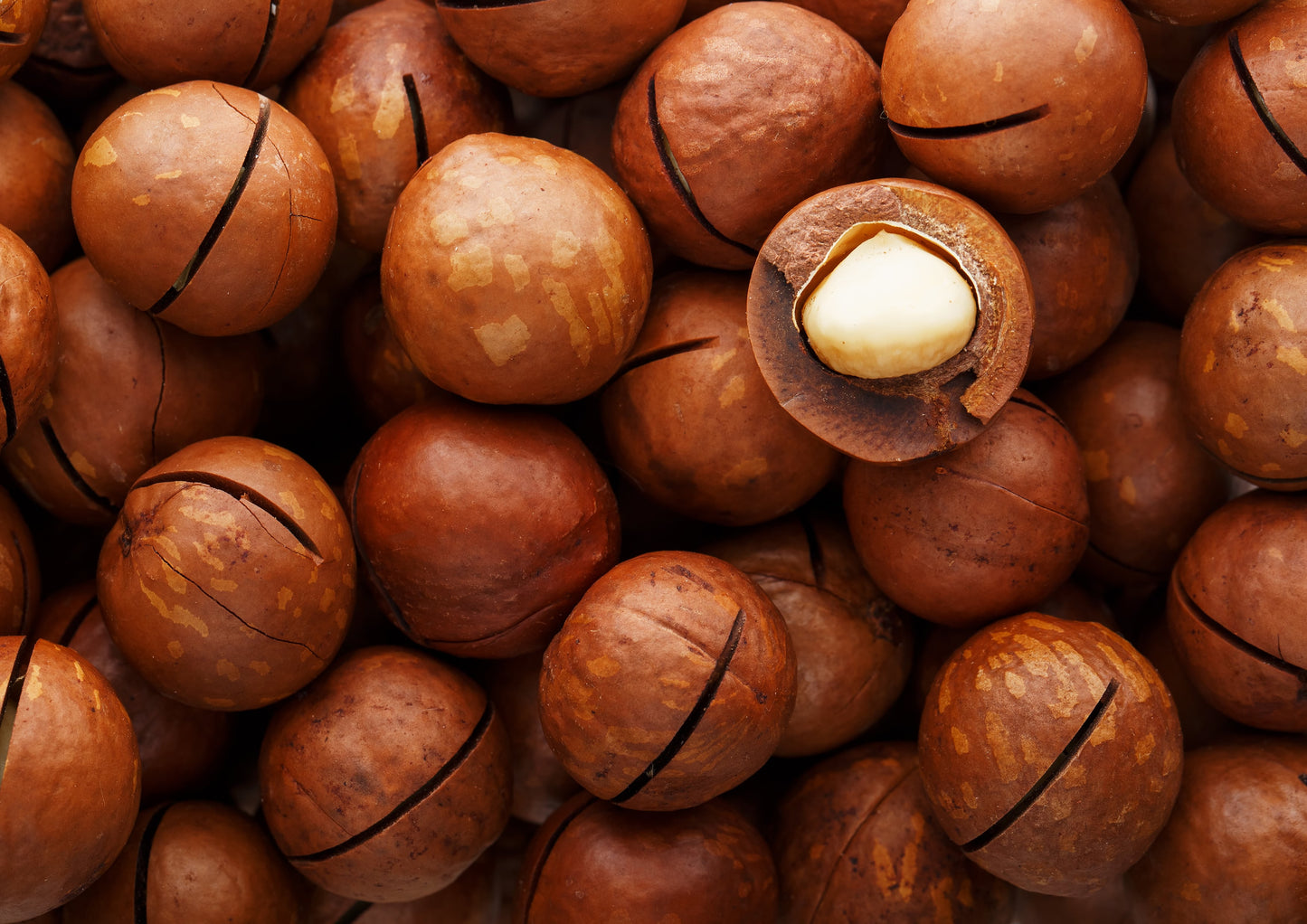 Organic Dry Roasted Whole Macadamia Nuts with Himalayan Salt - by Food To Live