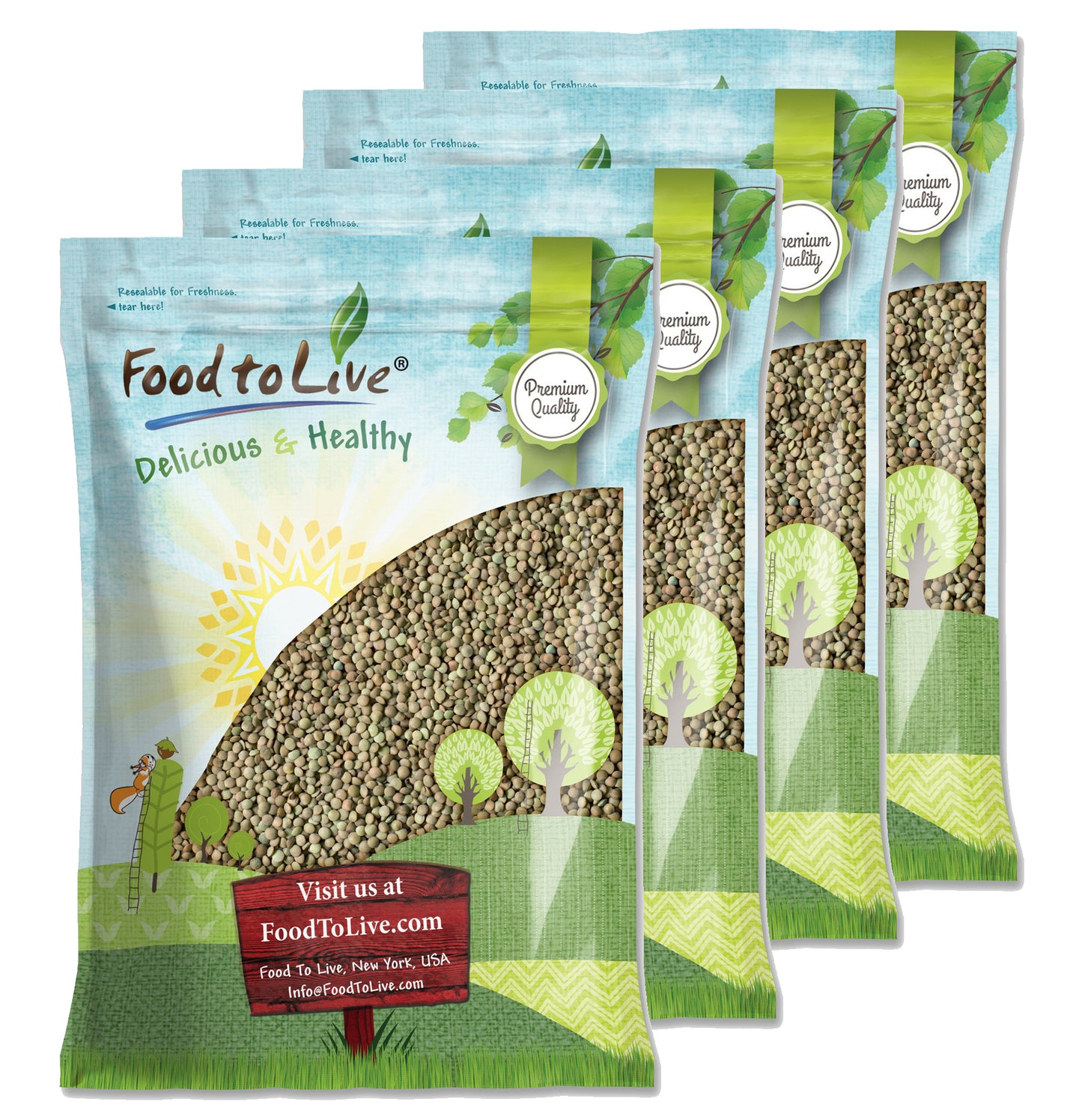 Green Lentil Whole — Non-GMO Verified, Kosher, Bulk - by Food to Live
