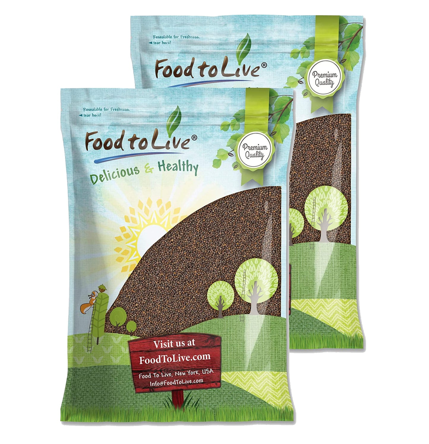 Kale Seeds for Sprouting - by Food To Live