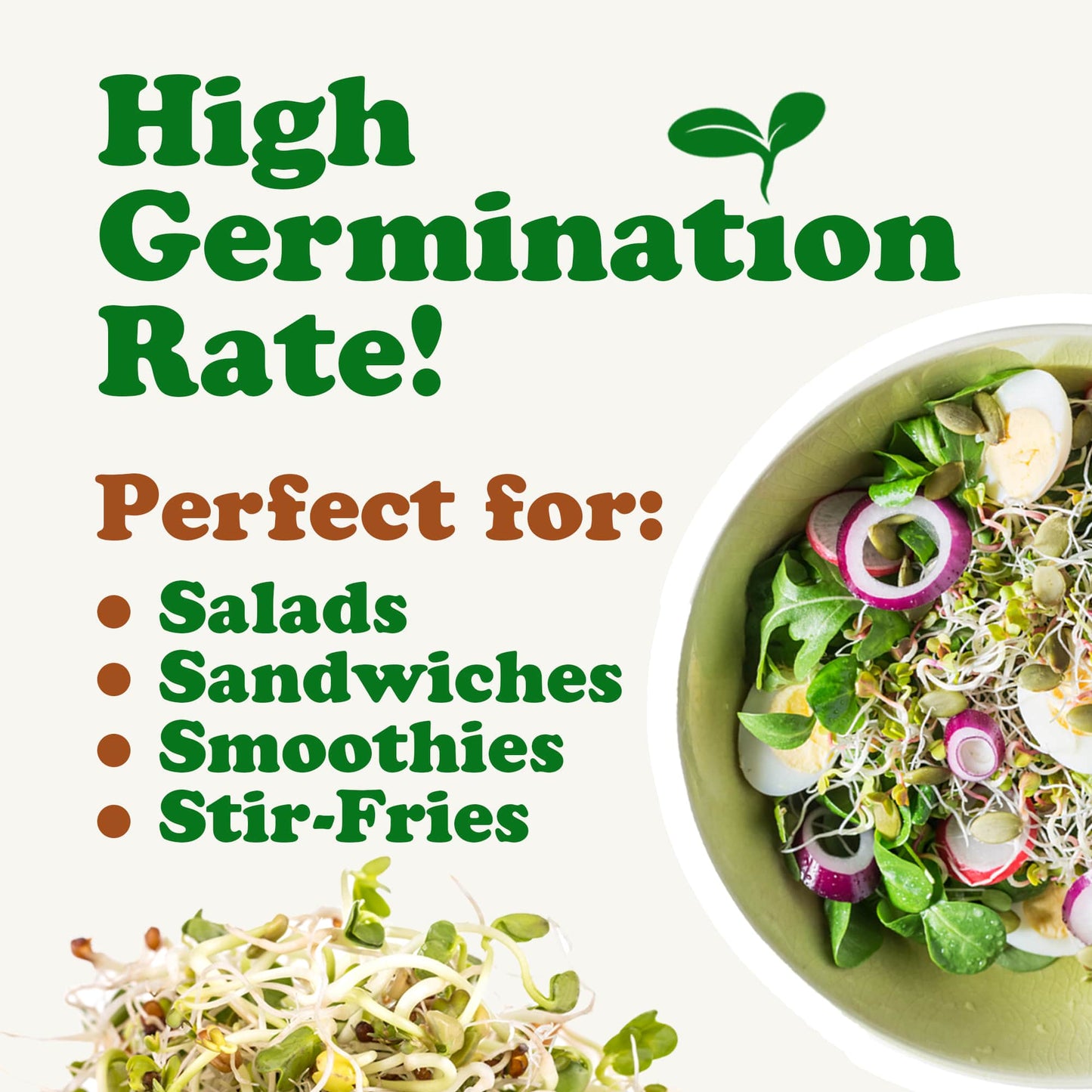 Salad Mix of Sprouting Seeds - by Food To Live
