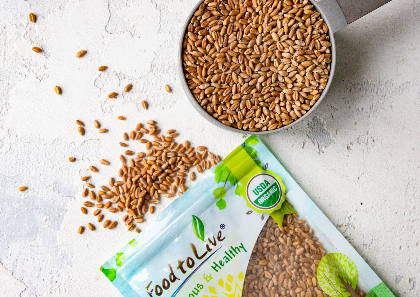 Organic Hard Red Wheat Berries - by Food To Live