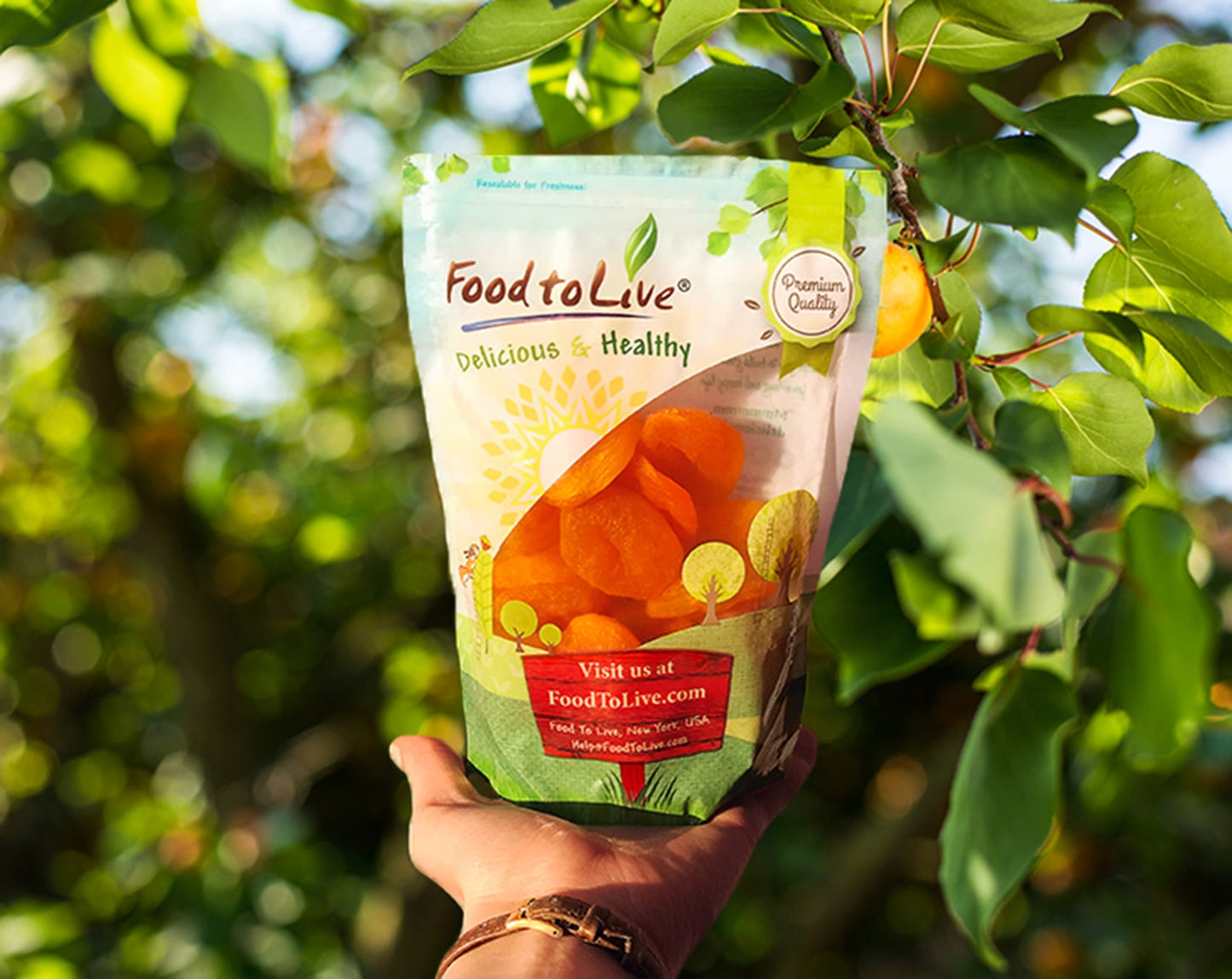 Dried Apricots - by Food To Live