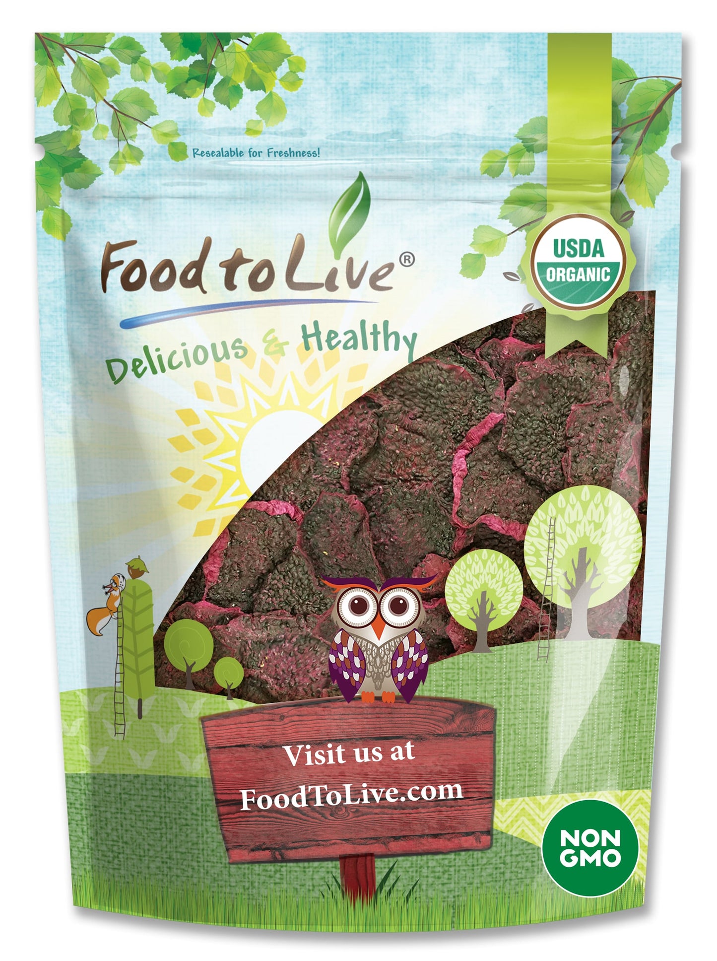 Organic Dried Red Dragon Fruit - by Food To Live