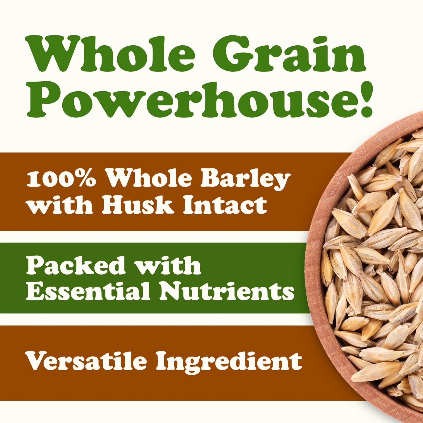Organic Whole Unhulled Barley - by Food To Live