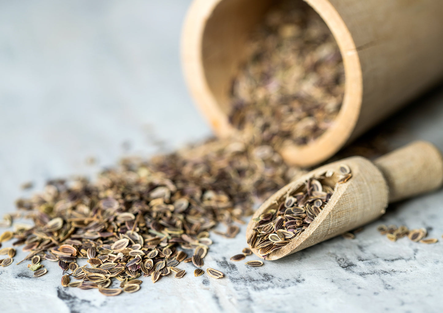 Organic Dill Seeds - by Food To Live