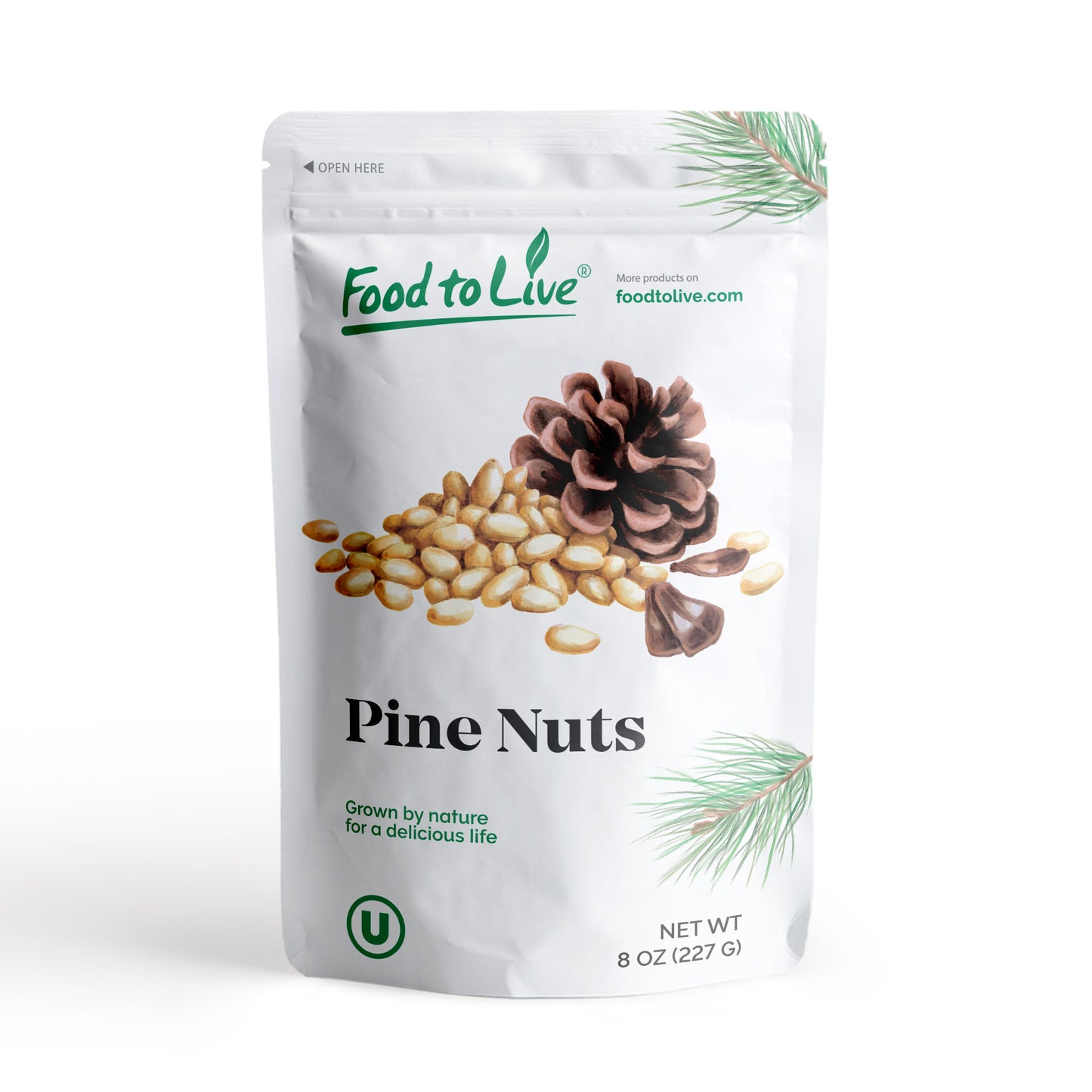 Dry Roasted Pine Nuts with Himalayan Salt - by Food To Live