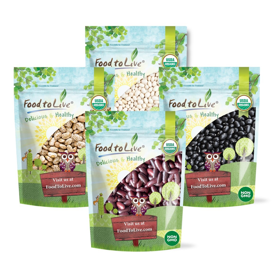 Organic Dry Beans Bundle (4 pack) - Dark Red Kidney Beans (5 LB), Pinto Beans (5 LB), Black Beans (5 LB), Navy Beans (5 LB) - by Food To Live