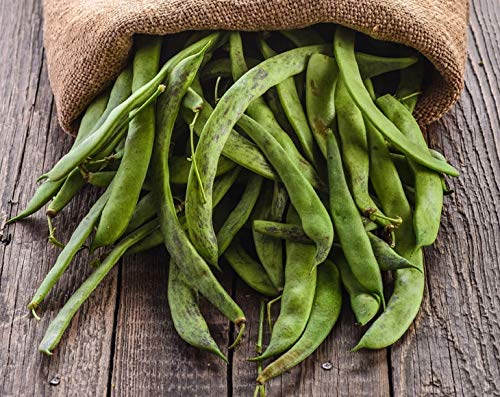 Organic Great Northern Beans - Dried, Non-GMO, Kosher, Raw, Sproutable, Bulk Seeds, Product of the USA - by Food to Live