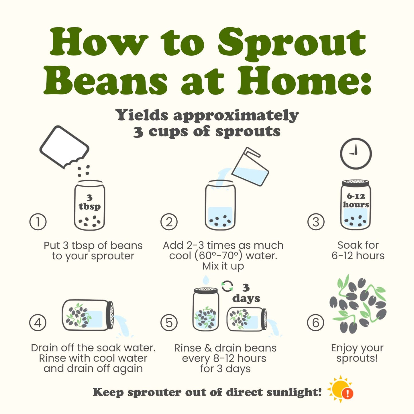 Rainbow Sprouting Beans Mix - by Food To Live