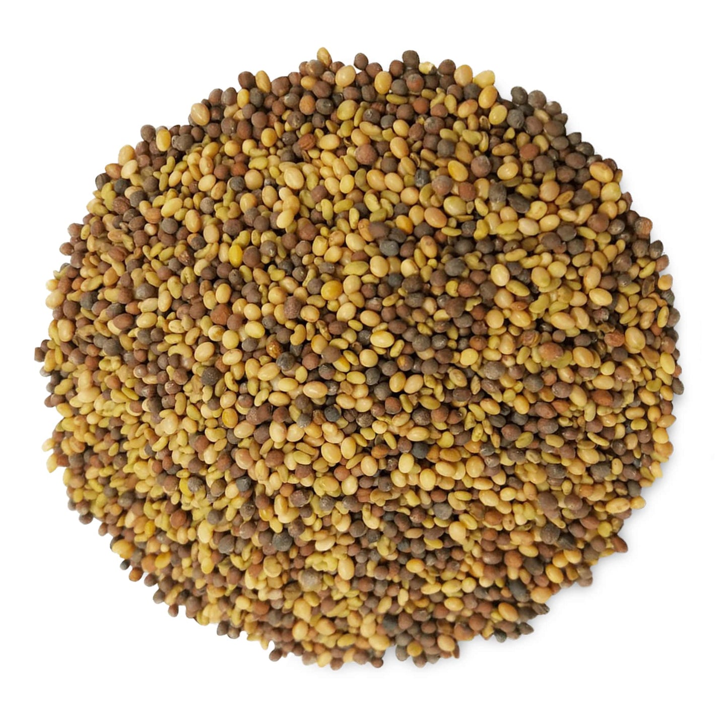 Antioxidant Mix of Sprouting Seeds - by Food To Live
