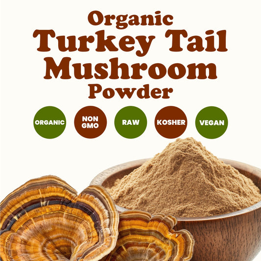 Organic Turkey Tail Mushroom Powder - by Food To Live