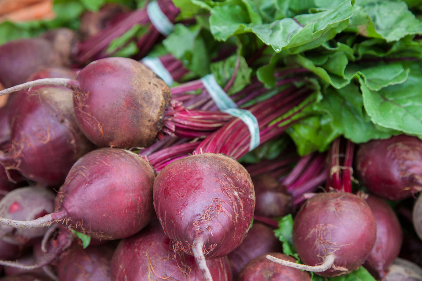 Beet Root Powder - by Food To Live