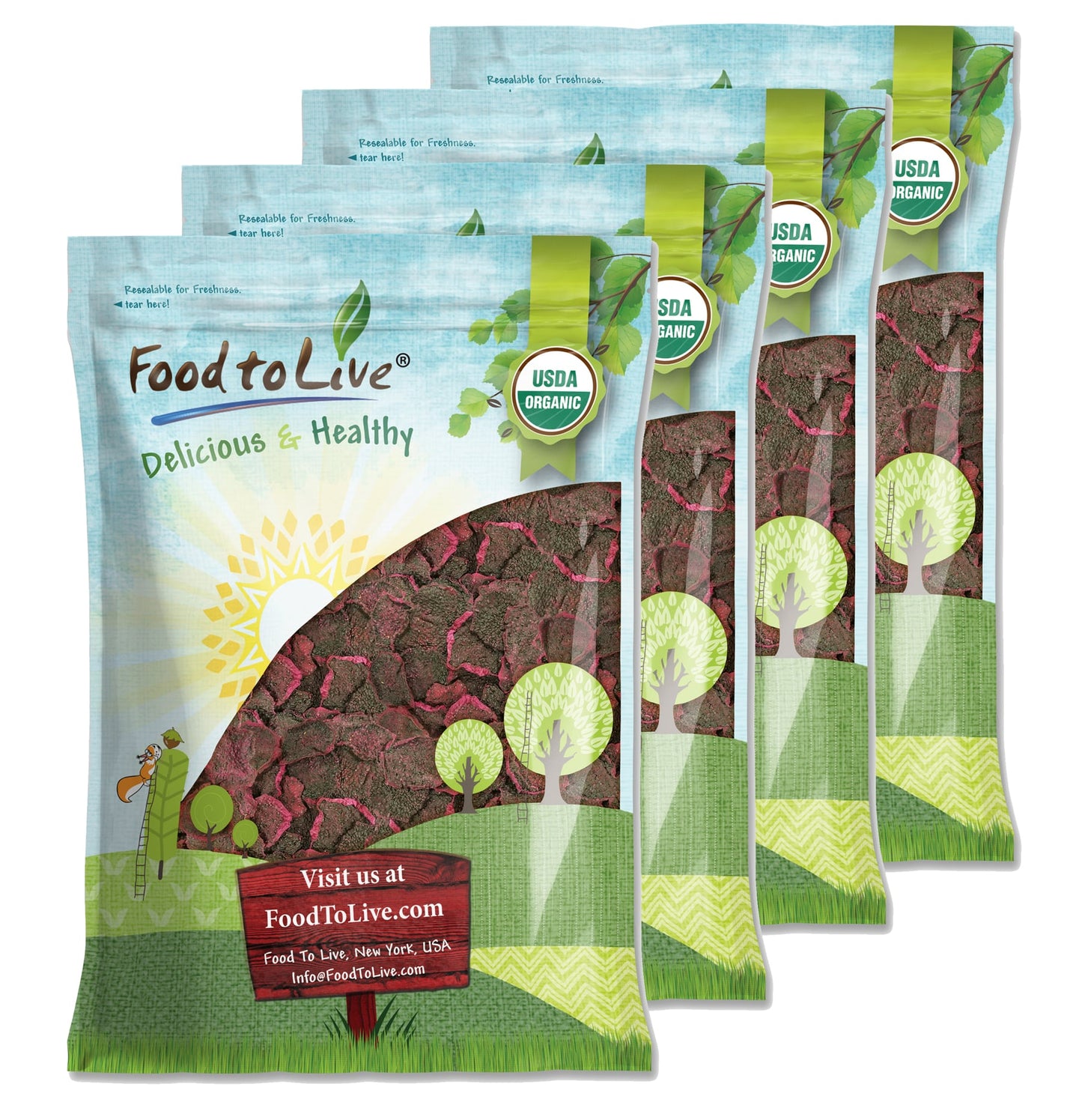 Organic Dried Red Dragon Fruit - by Food To Live