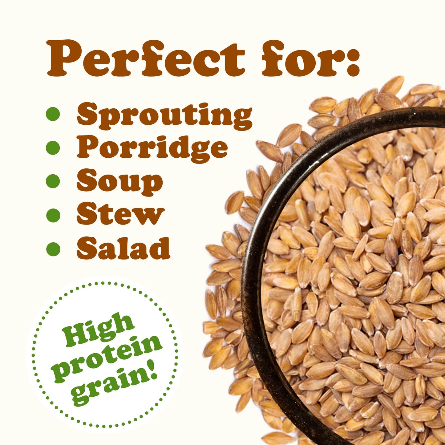 Organic Einkorn Wheat Berries - by Food To Live
