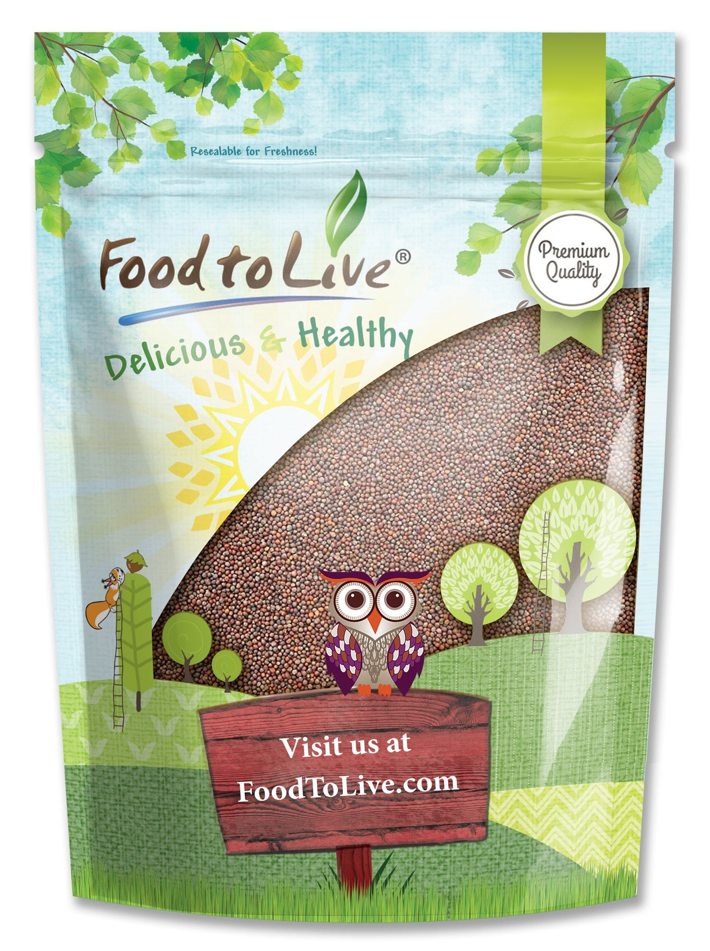 Broccoli Seeds for Sprouting - by Food To Live