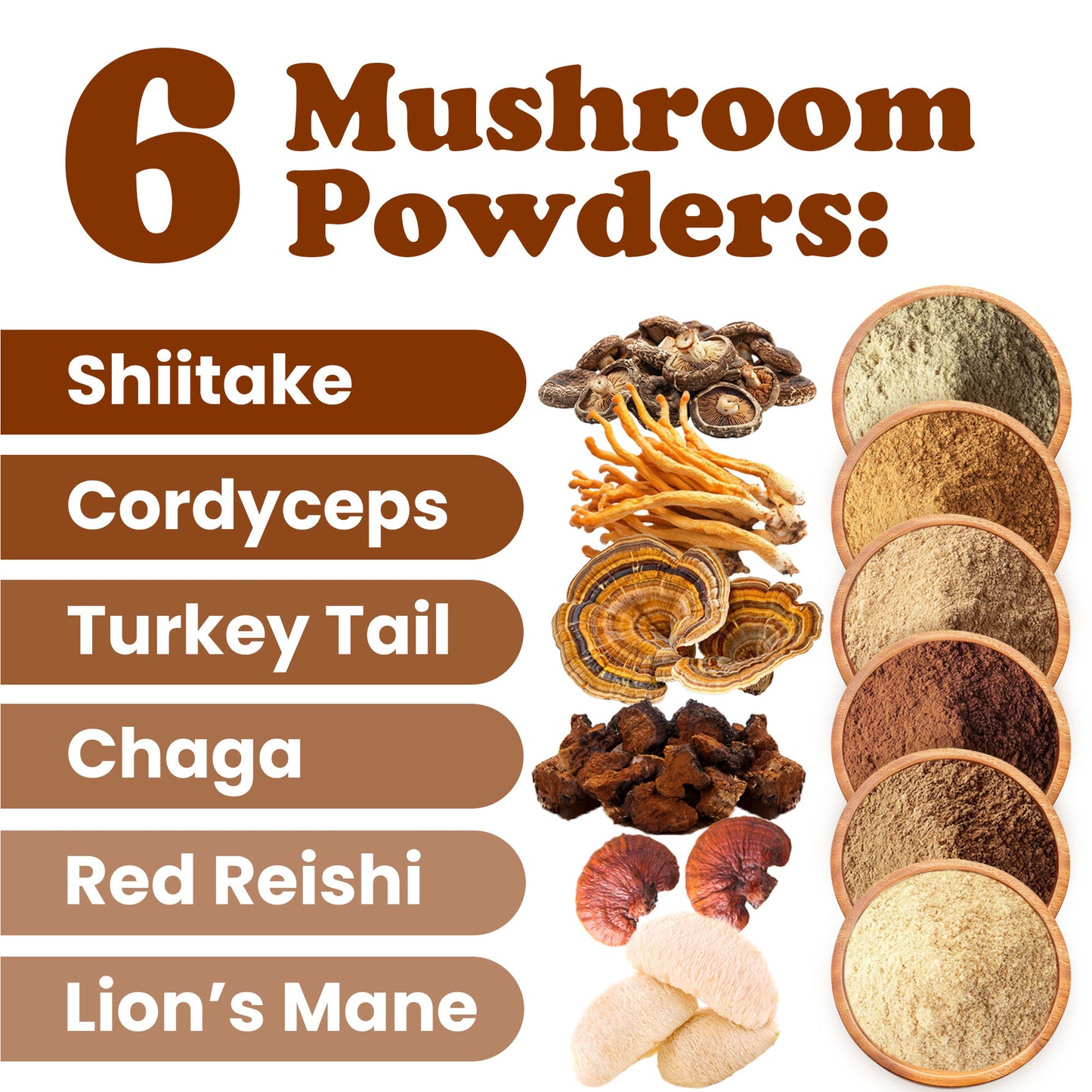 Organic Six-Stars Mushroom Mix - by Food To Live