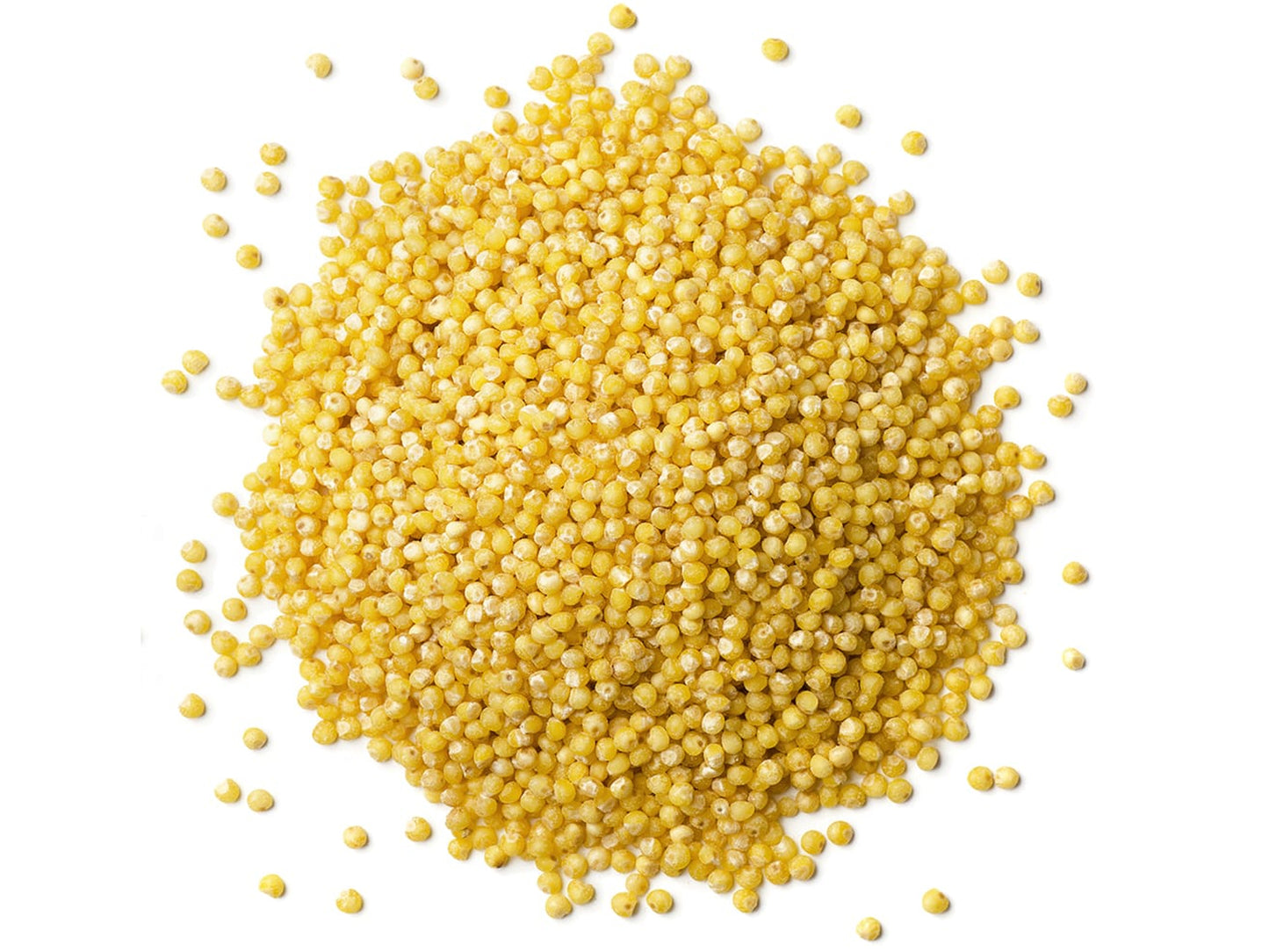 Organic Hulled Millet — Whole Grain Seeds, Non-GMO, Kosher, Raw, Bulk, Product of the USA - by Food to Live