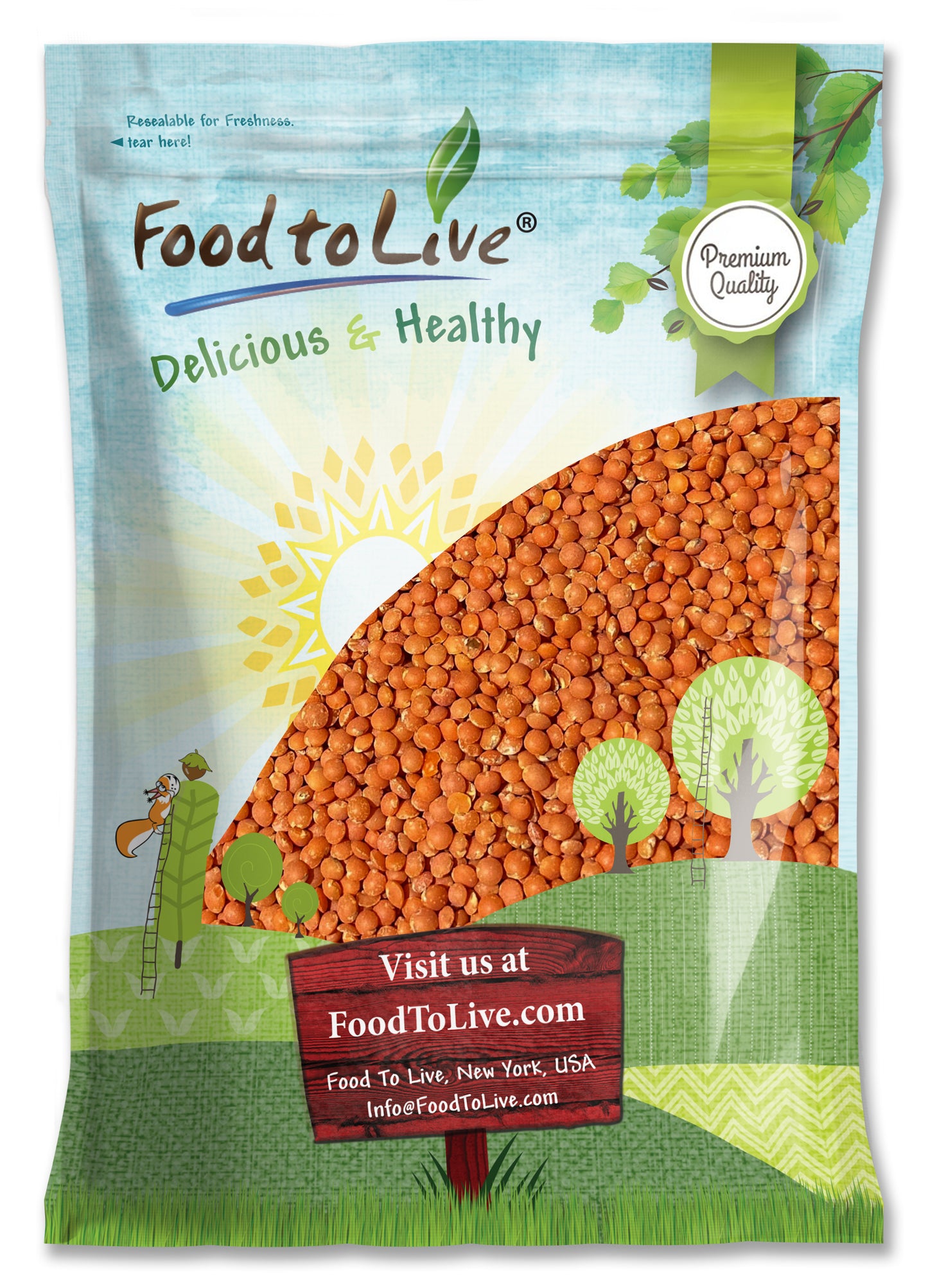 Organic Red Lentils (Football) - by Food to Live