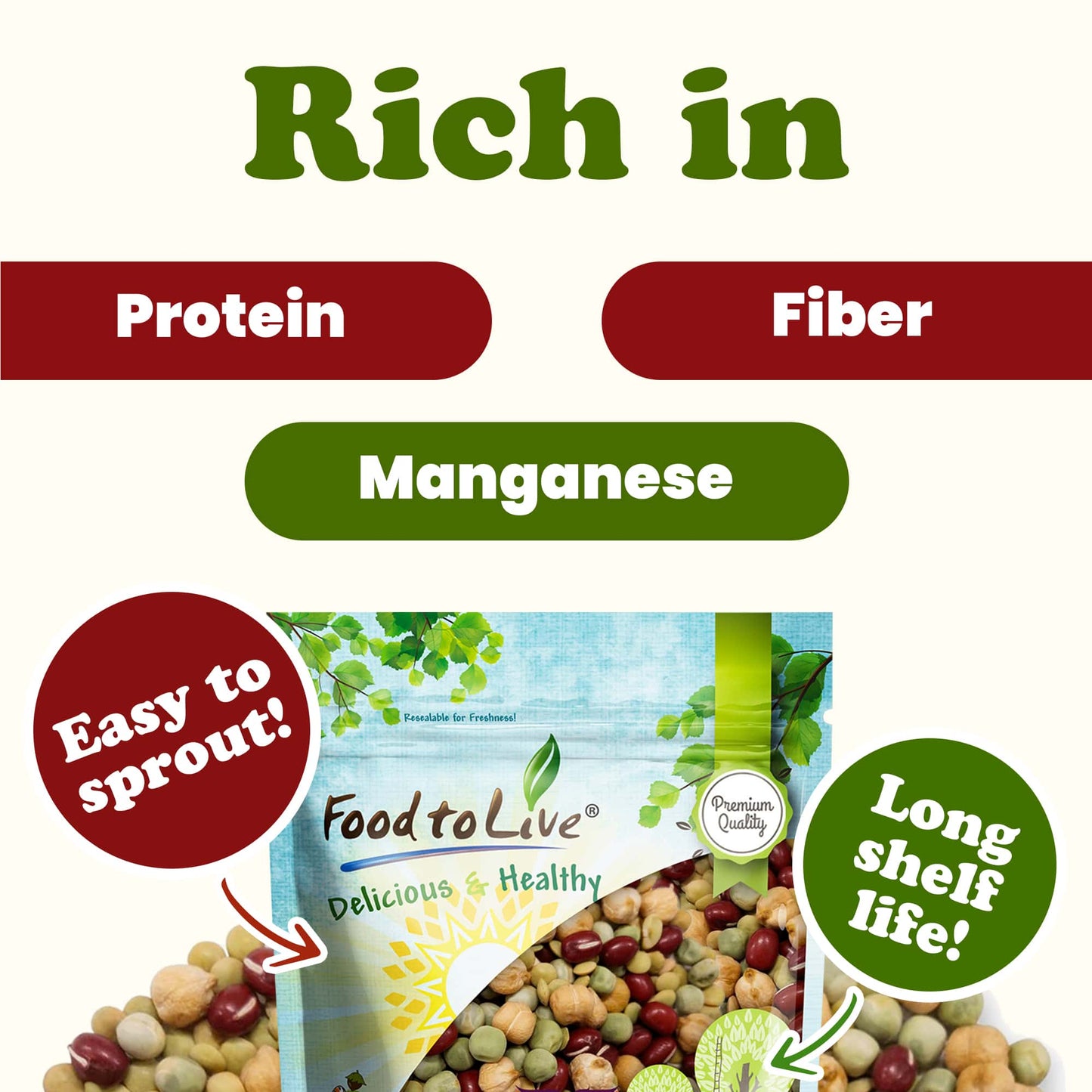 Crunchy Mix of Sprouting Bean Seeds - by Food To Live