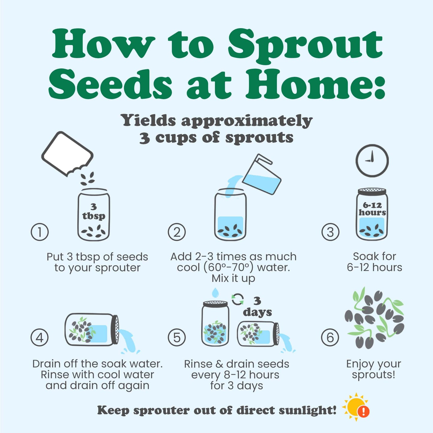 Organic Sunflower Seeds - by Food To Live